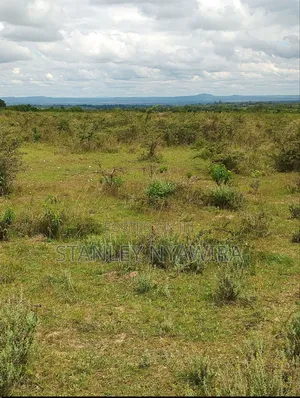 16 Acrea Along Nanyuki Nyeri Highway