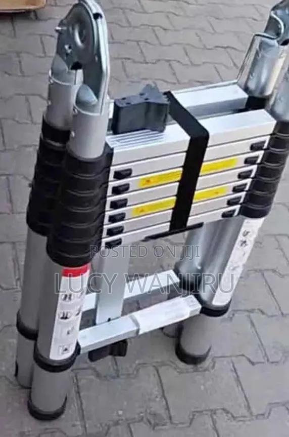 2.5 Telescopic Ladder