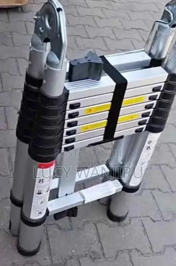 2.5 Telescopic Ladder