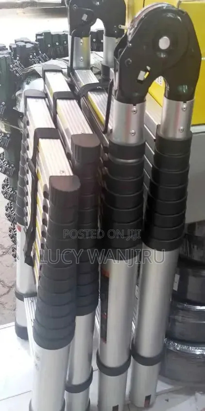 Double Telescopic Ladder 2.5m