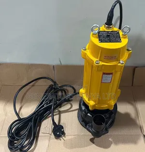 Windsor Submersible Sewage Pump