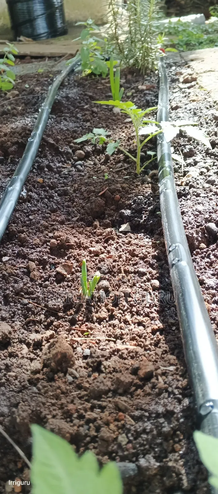 Planting To Go Irrigation