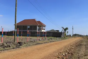 Budget-Friendly Plots in Ruiru Kamakis