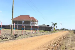 Budget-Friendly Plots in Ruiru Kamakis