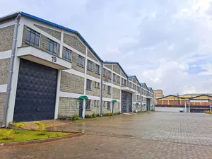 Godown for Lease in Baba Dogo