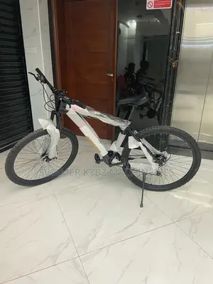 Classic SHM Mountain Bike Size 29’