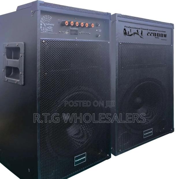 Tagwood 12d (Lts-12d) Portable Dual Speaker System