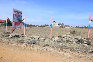 Budget-Friendly Plots for Sale in Ruiru Kamakis