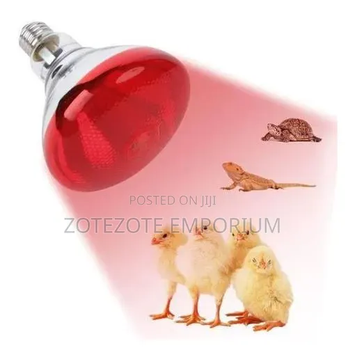 Chicken Red Infrared Bulb