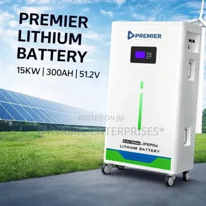 Premier 15kw 300ah 51.2v Lifepo4 Lithium Battery