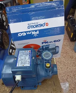 0.5hp Water Pump Pedrollo/Pedroll