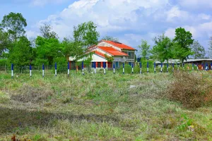 50 by 100 Plots for Sale in Juja Farm*Jw