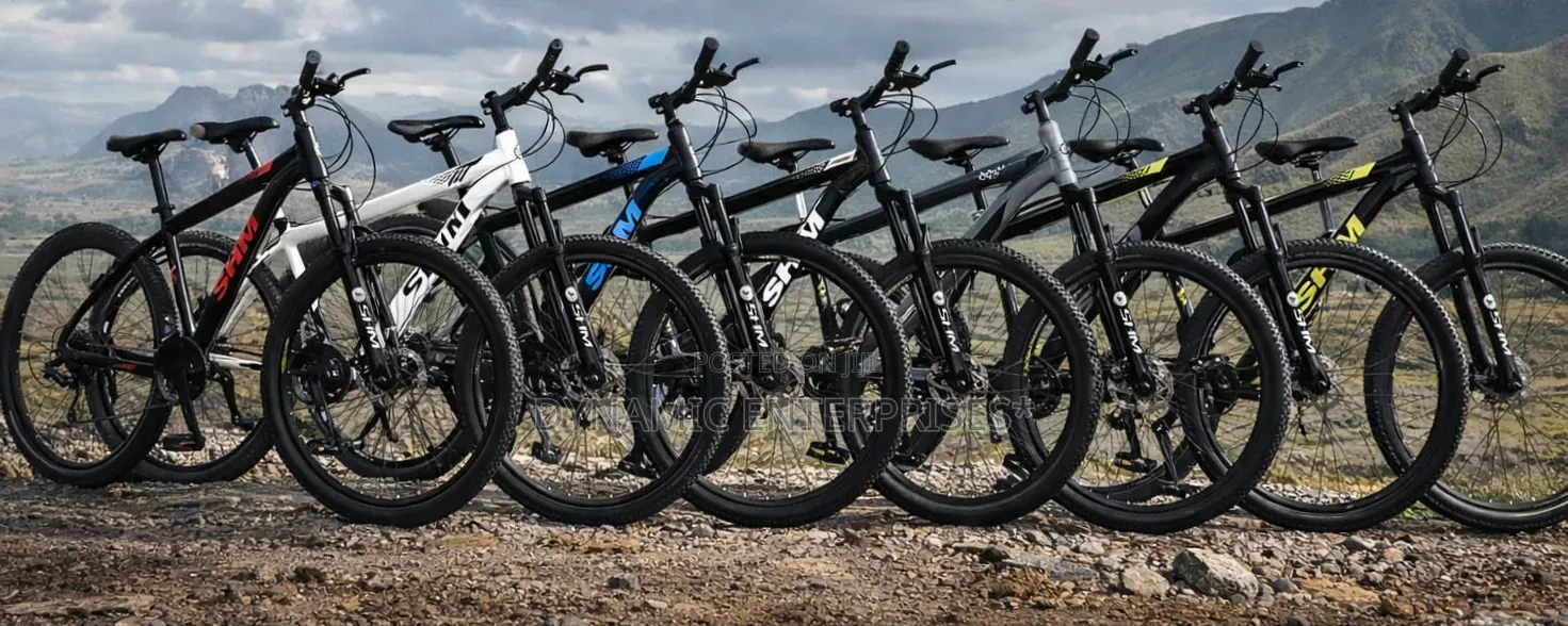 SHM 29" Mountain Bike