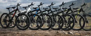 SHM 29" Mountain Bike