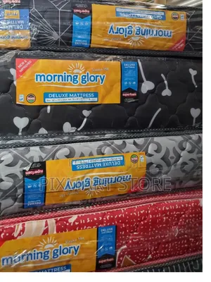 Morning Glory 5×6×10 Quilted Top Luxury Foam Mattress