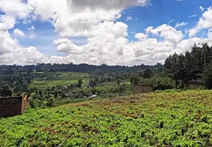 3/4 Acre Plot for Sale in Kikuyu, Ondiri Area