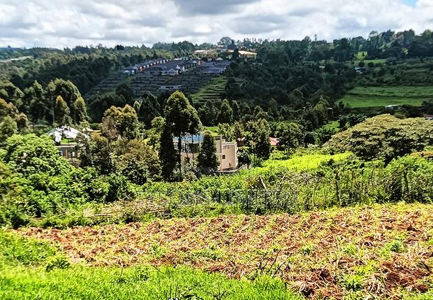 3/4 Acre Plot for Sale in Kikuyu, Ondiri Area - thumbnail 4