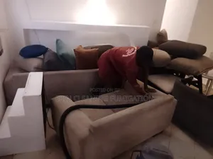 Quick Reliable and Efficient Sofa Cleaning/Fumigation