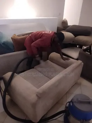 Quick Reliable and Efficient Sofa Cleaning/Fumigation