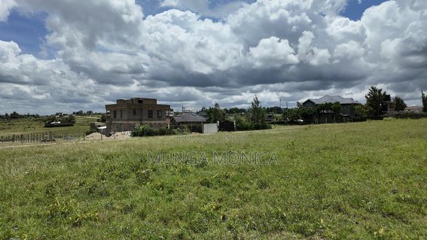 Acacia Anak Kitengela - thumbnail 5