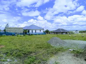 Acacia Anak Kitengela