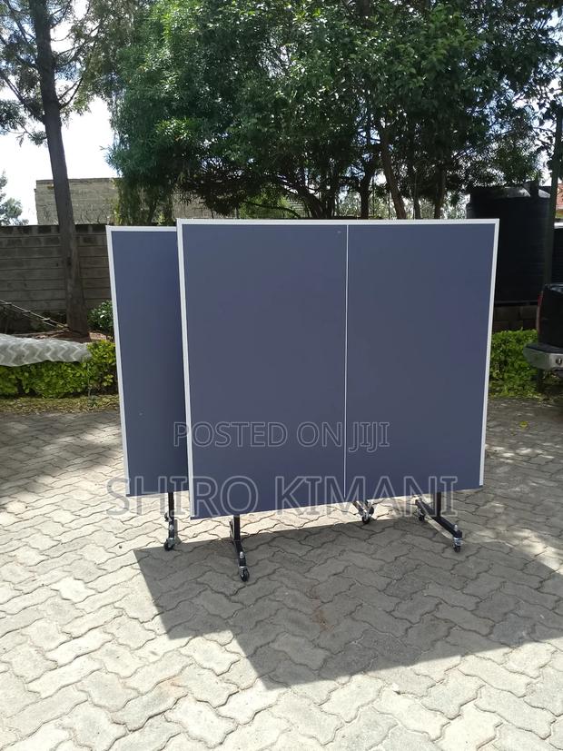 Indoor Foldable Tt Table