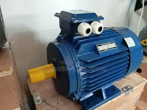 Electric Motor