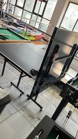 15mm Portable Table Tennis Table