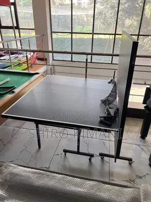 Indoor Sports Tt Table
