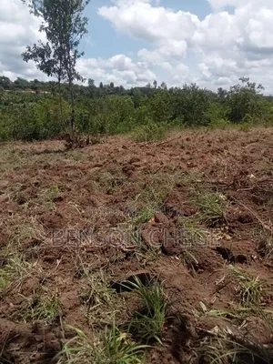 50by100 Plot for Sale in Maragua Ridge