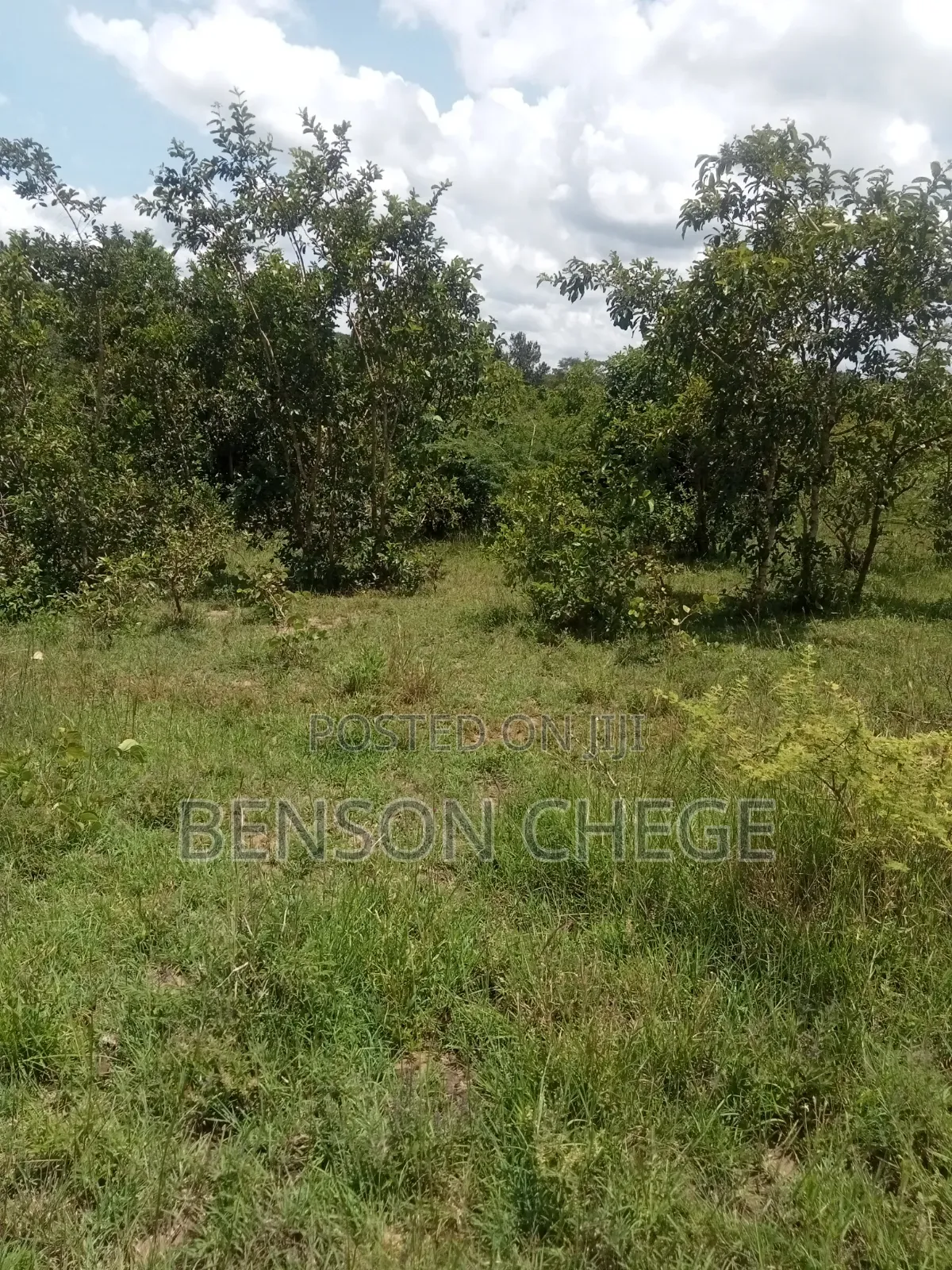 50by100 Plot for Sale in Maragua Ridge