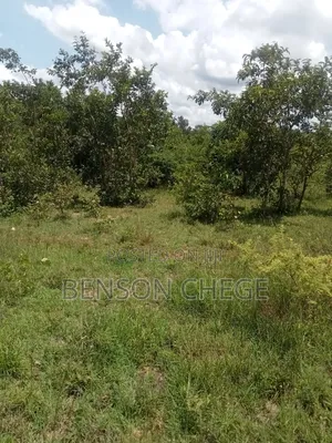 50by100 Plot for Sale in Maragua Ridge