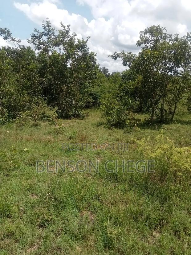 50by100 Plot for Sale in Maragua Ridge - thumbnail 2