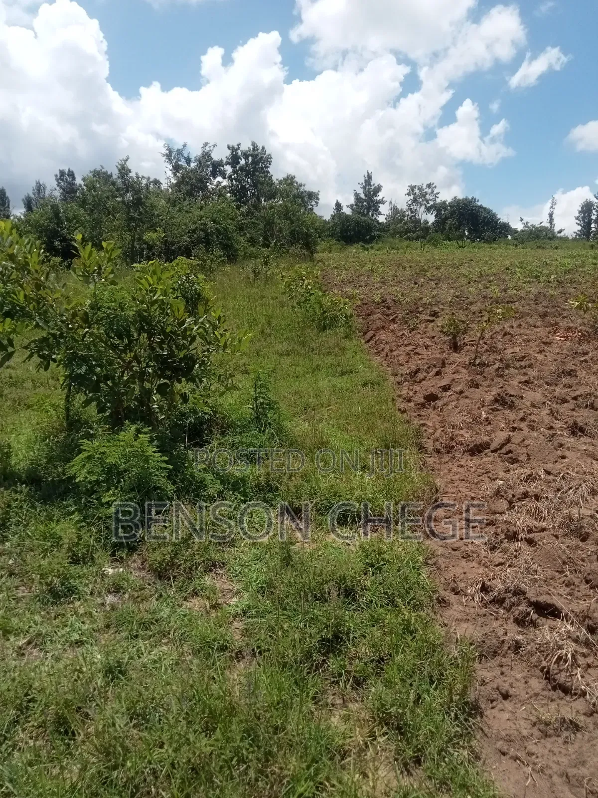 50by100 Plot for Sale in Maragua Ridge