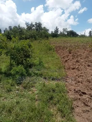 50by100 Plot for Sale in Maragua Ridge