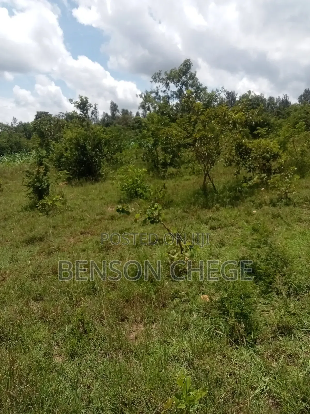 50by100 Plot for Sale in Maragua Ridge