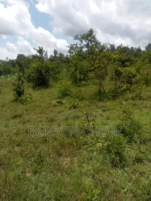 50by100 Plot for Sale in Maragua Ridge