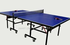 Professional Table Foldable Tennis (2740*1525*760)Mm