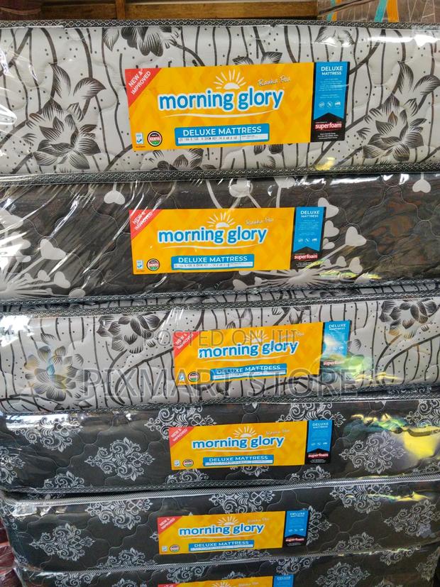4×6×10 Superfoam Morning Glory Mattress