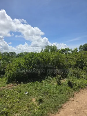 5 Acres For Sale As A Block In Diani Galu Kinondo 2nd Row From Beach