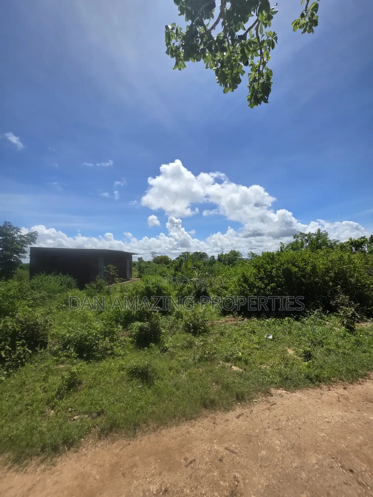 5 Acres For Sale As A Block In Diani Galu Kinondo 2nd Row From Beach