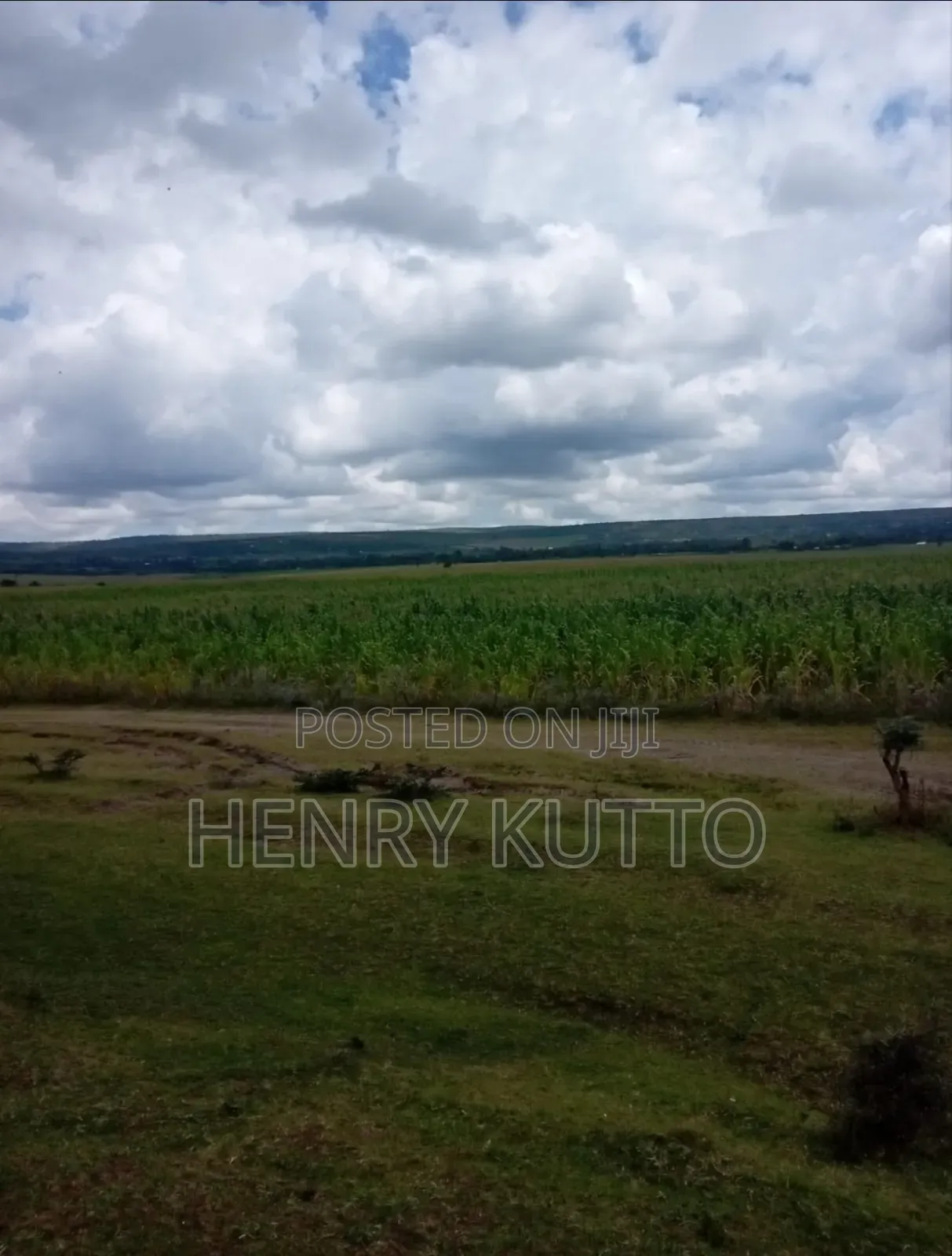 Prime Agricultural Land for Sale
