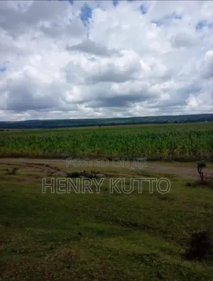 Prime Agricultural Land for Sale