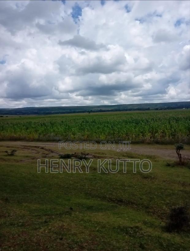 Prime Agricultural Land for Sale