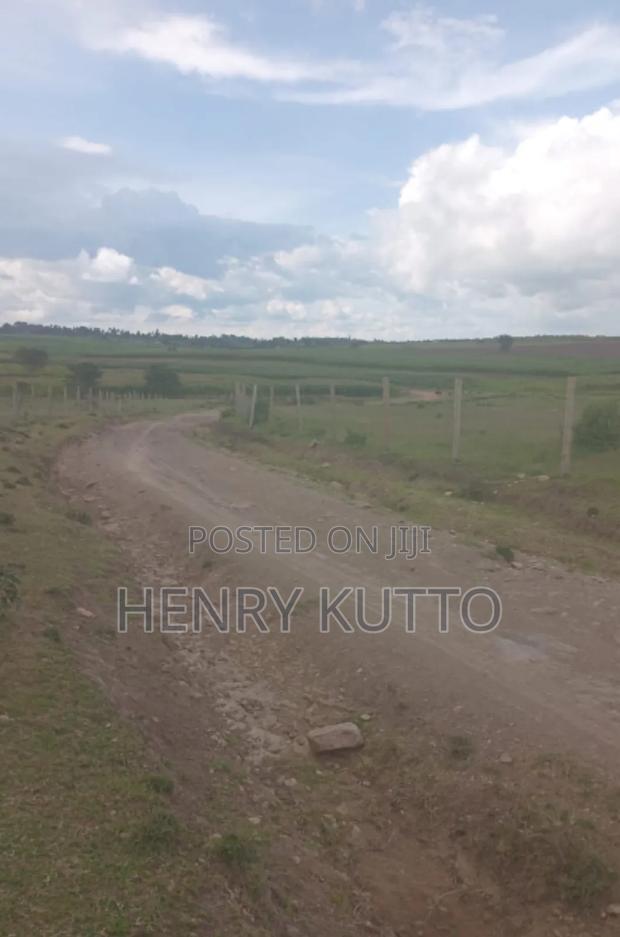 Prime Agricultural Land for Sale - thumbnail 4