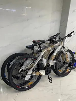 Reset Bike