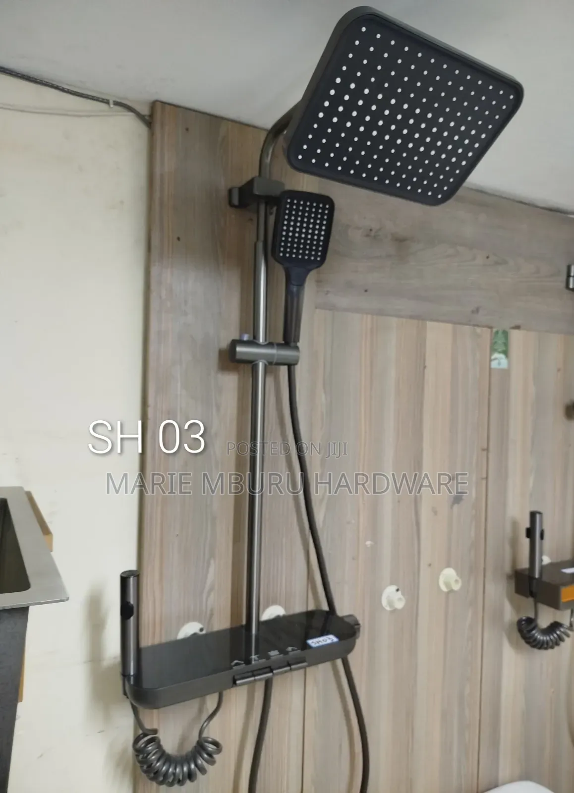 Smart Shower Riser
