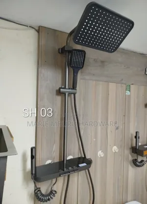 Smart Shower Riser