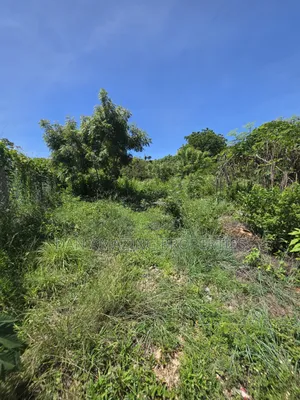 Fully Serviced 1/4 Acre Beach Plot for Sale Diani Galu Kinondo
