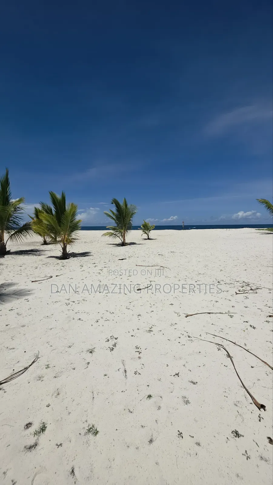 Fully Serviced 1/4 Acre Beach Plot for Sale Diani Galu Kinondo